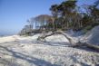 Darss-Weststrand-a22687464.jpg
