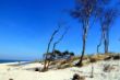 Weststrand-am-Darsser-Ort-a24132102.jpg