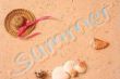 Summer_126444.jpg